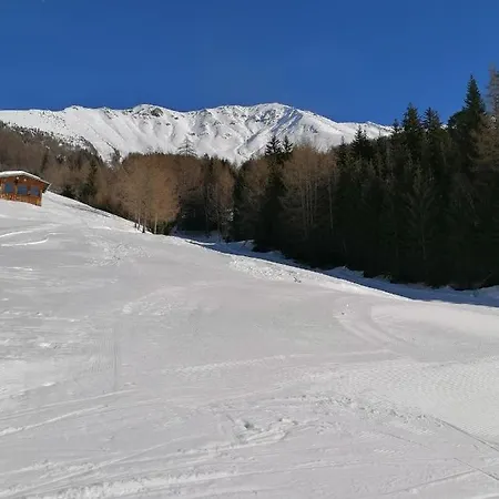 Schneekristall *