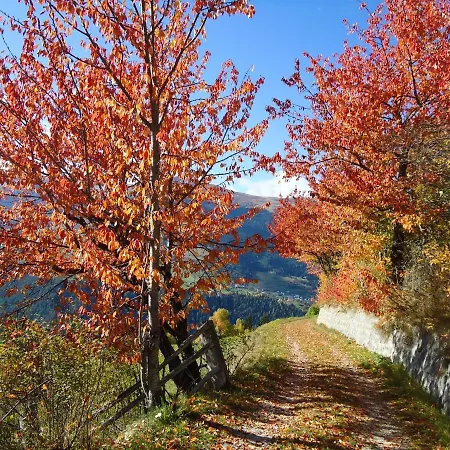 Schneekristall דירה פנדלס